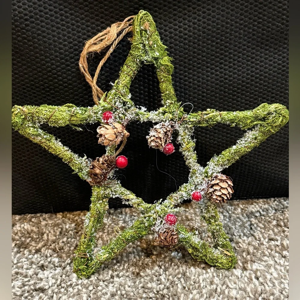 Pier 1 Rustic Twig Star & Snowflake Ornaments Michaels Fruit Pick Set of 5